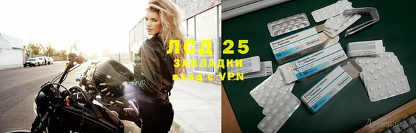спайс Дмитриев