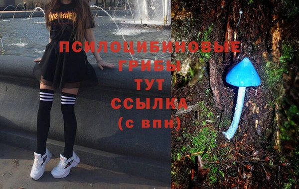 марки nbome Дмитровск