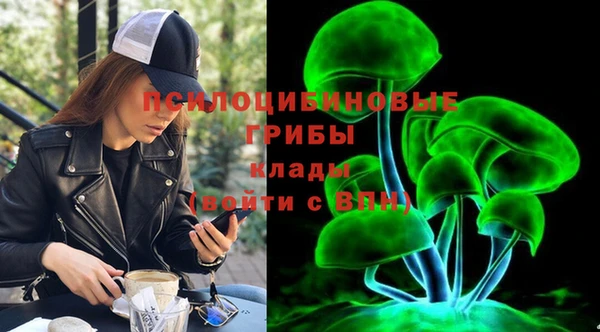 спайс Дмитриев