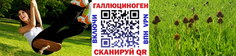 Псилоцибиновые грибы MAGIC MUSHROOMS  Ялуторовск 