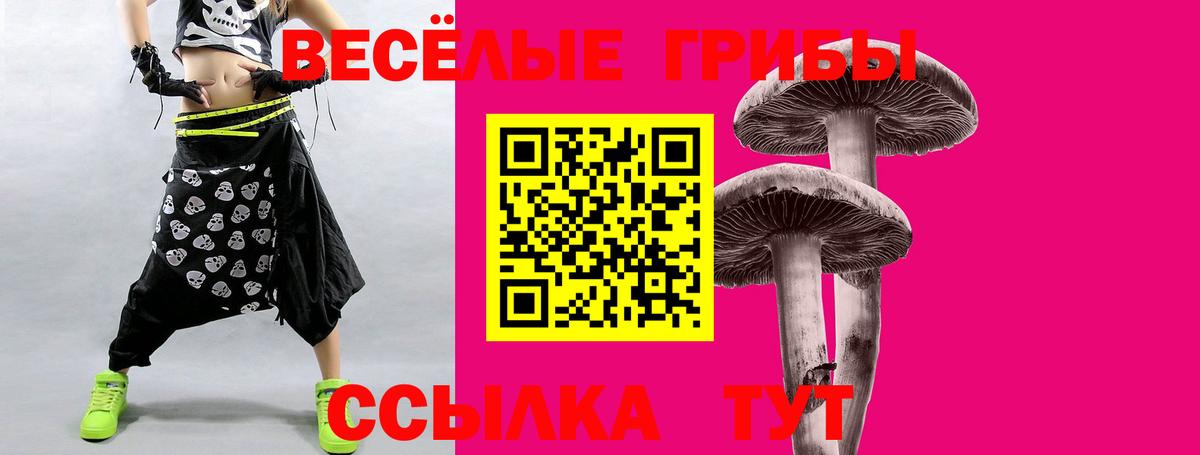 Ялуторовск  Псилоцибиновые грибы MAGIC MUSHROOMS  Вход с VPN  Галлюциногенные грибы мицелий 